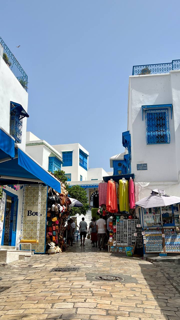 Entrada de Sidi Bou Said com casas típicas e comércio local.